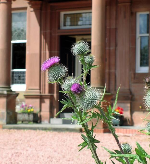 Toftcombs Mansion House Villa Biggar Eksteriør billede